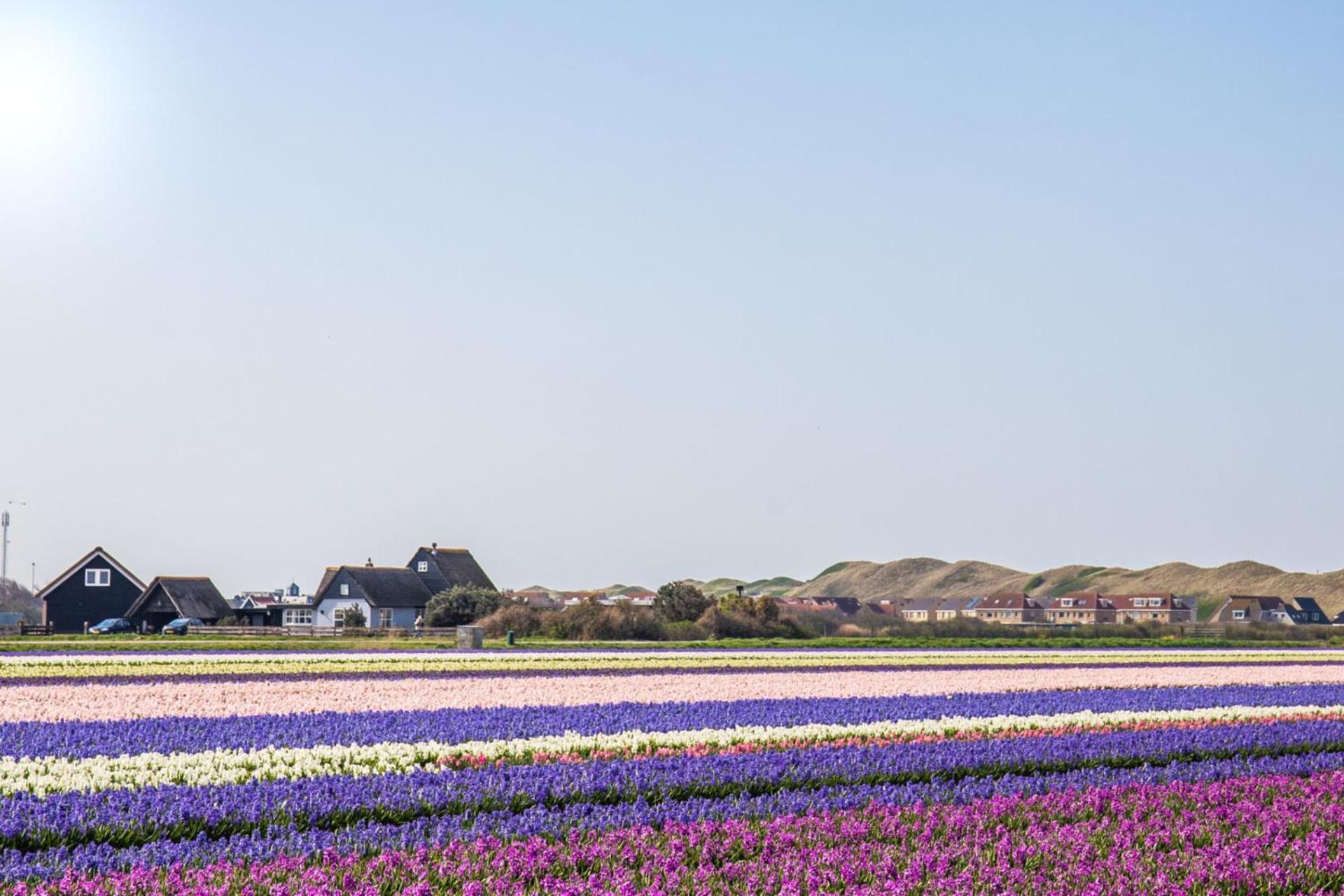 Vakantiehuis Nordseezauber - Callantsoog Aan Zee Bagian luar foto